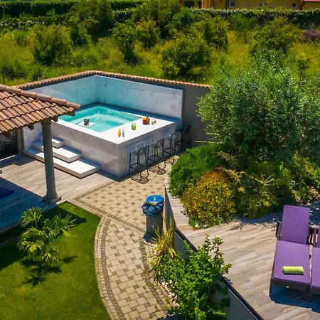 Ana Villa *